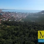 Terreno à venda, 11608 m² por R$ 800.000,00 - Centro - Penha/SC