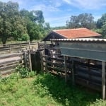 50 hectares a venda em ANASTÁCIO saída pra Campo Grande/MS