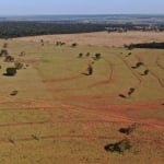 Fazenda à venda na MS-040, 200, Vila Moreninha II, Campo Grande