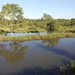 CHÁCARA EM TERENOS - MS