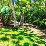 Casa no Ribeirão da Ilha - Florianópolis - SC