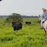 BELÍSSIMA FAZENDA NO NORTE DO PARA