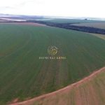 Fazenda a Venda Município: entre paredão e primavera -  MT