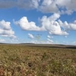 Fazenda a Venda Região Paranatinga - MT