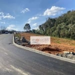 Terreno à venda, 1.060 m² privativos -   Vila Conceição - Campo Largo/PR