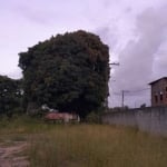 Terreno para Venda em Salvador, Cassange