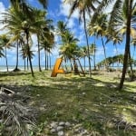 TERRENO DE 17.000m² FRENTE MAR EM BUSCA VIDA