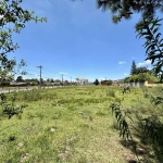 TERRENO DE ESQUINA NO PARQUE PINHEIRO MACHADO - PRONTO PARA CONSTRUIR