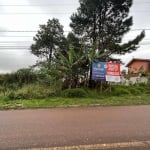 Terreno à venda, 360.00 m2 por R$180000.00  - Planta Deodoro - Piraquara/PR