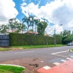 Casa com 4 quartos para alugar na Avenida Doutor Adhemar Pereira de Barros, 430, Bela Suiça, Londrina