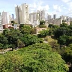 Apartamento 4 Quartos Suites 197m2 com vista ampla para o verde do vale do canela na Graça