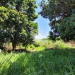 Terreno à venda na Rodovia Alexandre Balbo, 328, Parque Residencial Cidade Universitária, Ribeirão Preto