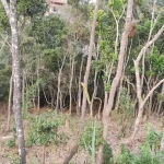 Terreno para Venda em Teresópolis, Panorama