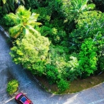 TERRENO A VENDA NO CONDOMÍNIO FAZENDA PRAIA DO FORTE, 450m² cercado de mata Atlantica, com toda infraestrutura de segurança e lazer por R$ 300.000,00