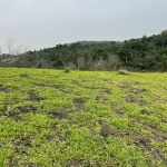 seu lugar ao sol terreno dos sonhos