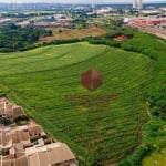 Invista: Área à venda, 145200 m² - Jardim Monte Libano - Sarandi/PR