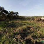 Terreno em Itapuã. Ótimo Terreno de 1000m², Plaino e Limpo. ESTUDA-SE PROPOSTAS.