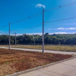 Terreno dentro de condomínio, com infraestrutura maravilhosa com piscina, salão de festas, portaria 24hs, espaço Pet, horta comunitária, casa na árvore, em torno com cinturão natural de árvores, divis