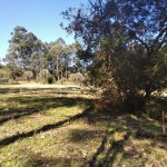 Ótimo terreno para quem procura sossego, com 50x50, arborizado no bairro Lami. 6km da faixa. A poucos minutos do mercado Tradição. Localizado no Beco do Cervo,2352. Não aceita financiamento. Estudas v