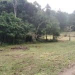 Ótimo terreno para quem procura sossego, com 50x50, arborizado no bairro Lami. 6km da faixa. A poucos minutos do mercado Tradição. Localizado no Beco do Cervo,2352. Não aceita financiamento. Estudas v