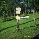 Area com 4.2 hectares, na lomba do Pinheiro  com vista para o Guaíba,, investimento certo, Agende já a sua visita!