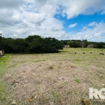 Terreno à venda no bairro Lageado. Ótimo terreno medindo 10 x 43. &lt;BR&gt;Busca troca por imóvel com casa na faixa de 150 à 170 mil, preferência na Ponta Grossa, Belém Novo e regiões próximas. Estud