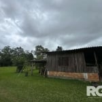 Sítio à venda no Parque Florestal | Amplo terreno com galpão medindo 144m², com fogão campeiro, fogão de chão e churrasqueira. O local é tranquilo e aconchegante com muita calmaria e bastante natureza