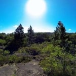 5 Hectares em Itapuã/Viamão. Perto da reserva de Itapuã e praias. Frente para a rodovia Frei Pacífico. Ótimo local  para uma pequena chácara, pousada, camping ou outras possibilidades de lazer.&lt;BR&