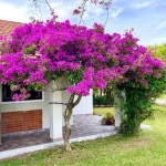 Casa ampla e confortável com cinco dormitórios, sendo duas suítes, cozinha grande com fogão à lenha, churrasqueira, pátio, piscina, lavanderia, banheiro social, muros iluminados e duas vagas de garage