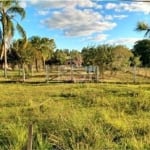 TERRENO COM OTIMA LOCALIZACÃO , COM MERCADO 1.240,00 M², PADARIA, AGROPECUARIA, AÇOUGUE, SALÃO DE BELEZA, RESTAURANTE, POSTO DE COMBUSTIVEL, SUBPREFEITURA E BORRACHARIA.