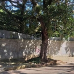 Terreno amplo no Bairro Tristeza. Excelente Terreno com 1014m². Testada de 16,50m. Terreno plano e arborizado. Com localização privilegiada na Mário Totta. Localizado a 500m da Av. Otto; 1,2km  da Wen