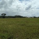 Terreno à venda, 230000 m² por R$ 3.500.000,00 - Catu de Abrantes - Lauro de Freitas/BA