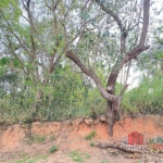 Terreno à venda Colinas de San Diego em Vinhedo