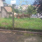 Terreno à venda Jardim Itália em Vinhedo