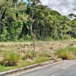 TERRENO, Escritura, Viabilidade - Sertão Maruim - Santa Catarina