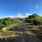 Sítio com 1 dormitório à venda, 150000 m² por R$ 1.500.000,00 - Oliveira - Tijucas/SC