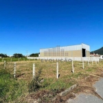 Terreno à venda, 360 m² por R$ 235.000,00 - Guarda do Cubatão - Palhoça/SC