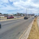 ARAÇAGY: 2 lotes de terreno a venda ao lado da av. holandeses – Ilha de São Luís-MA