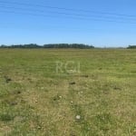 Area ruaral localizado do Balneário Figueirinha  com 12,5 hectares . Escriturada . Excelente para construir loteamento de casas .