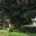 Terrenos no bairro Cristal, Porto Alegre/RS                                                                    &lt;BR&gt;&lt;BR&gt;Terreno de 484m² localizado no bairro Cristal, em Porto Alegre, com t