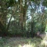 Terreno para Venda - 0m², 0 dormitórios, Belém Novo