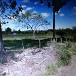 Terreno para Venda - 0m², 0 dormitórios, Lageado