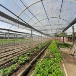 Terreno Residencial em Campo Novo
