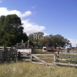 Area para Venda - 120000m², 0 dormitórios, Vila Santa Rosa