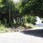 Terreno para Venda - 0m², 0 dormitórios, Bom Jesus