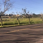 Amplo terreno com 4.704m²