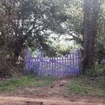 Terreno para Venda - 0m², 0 dormitórios, Lageado