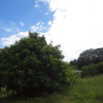 Terreno para Venda - 0m², 0 dormitórios, Lami