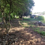 terreno no Partenon com 494m²