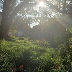 Terreno no bairro Belém Novo